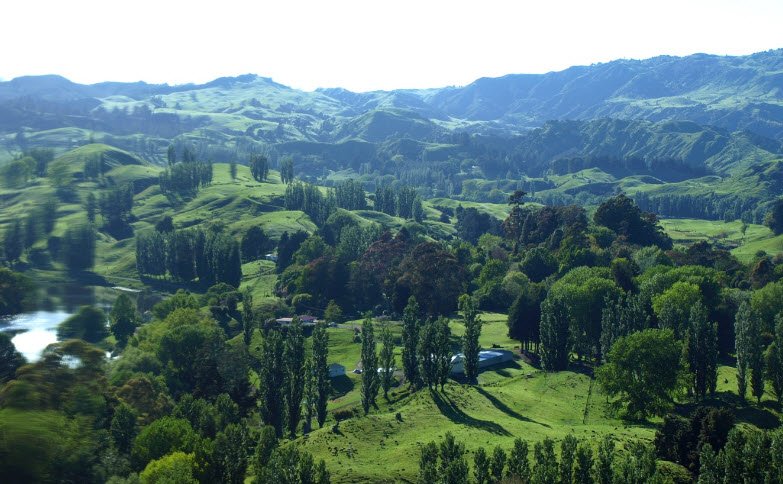 Hackfalls Arboretum, New Zealand